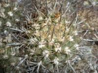 DSCN7941.jpg