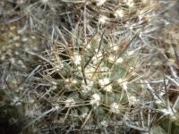 DSCN7942.jpg