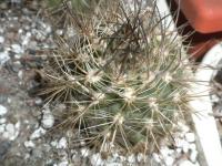 DSCN7959.jpg