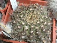 DSCN7980.jpg