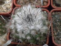 DSCN7988.jpg