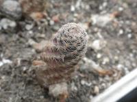DSCN7994.jpg