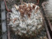 DSCN7997.jpg