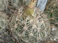 DSCN8023.jpg