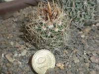 DSCN8039.jpg