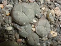 DSCN8048.jpg