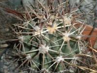 DSCN8177.jpg