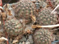 DSCN8239.jpg