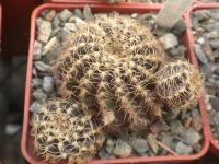 DSCN8240.jpg