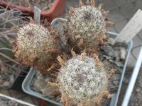 DSCN8260.jpg
