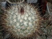 DSCN8312.jpg