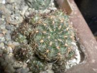 DSCN8315.jpg