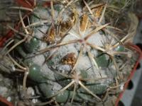 DSCN8318.jpg