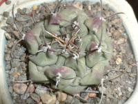 DSCN8331.jpg