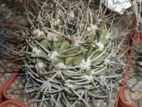 DSCN8335.jpg