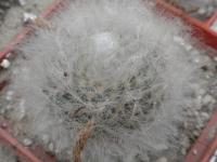 DSCN8356.jpg
