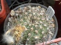 DSCN8360.jpg