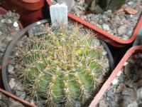 DSCN8361.jpg