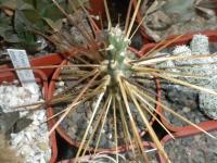 DSCN8372.jpg