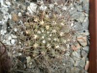 DSCN8455.jpg