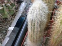 DSCN8468.jpg