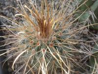 DSCN8475.jpg