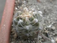DSCN8498.jpg
