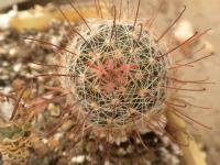 DSCN8628.jpg