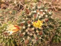 DSCN8640.jpg