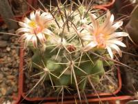 DSCN8688.jpg