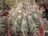 DSCN8786.jpg
