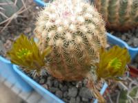 DSCN8791.jpg