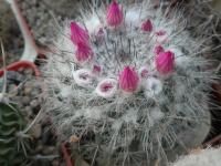 DSCN8807.jpg