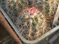 DSCN8816.jpg
