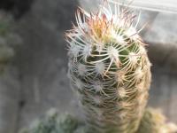 DSCN8818.jpg