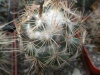 DSCN8819.jpg