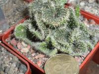 DSCN8820.jpg