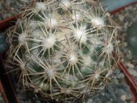 DSCN8830.jpg