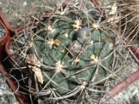DSCN8834.jpg