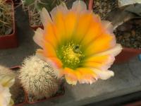 DSCN8853.jpg