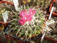 DSCN8868.jpg