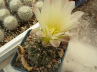 DSCN8886.jpg