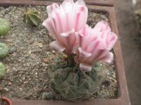 DSCN8933.jpg