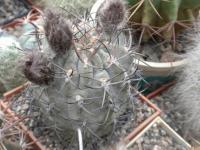 DSCN8940.jpg
