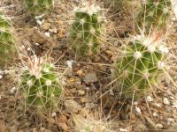 DSCN8957.jpg