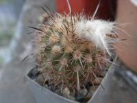 DSCN9088.jpg