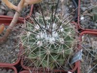 DSCN9093.jpg