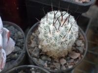 DSCN9094.jpg