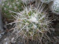 DSCN9110.jpg