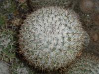 DSCN9121.jpg